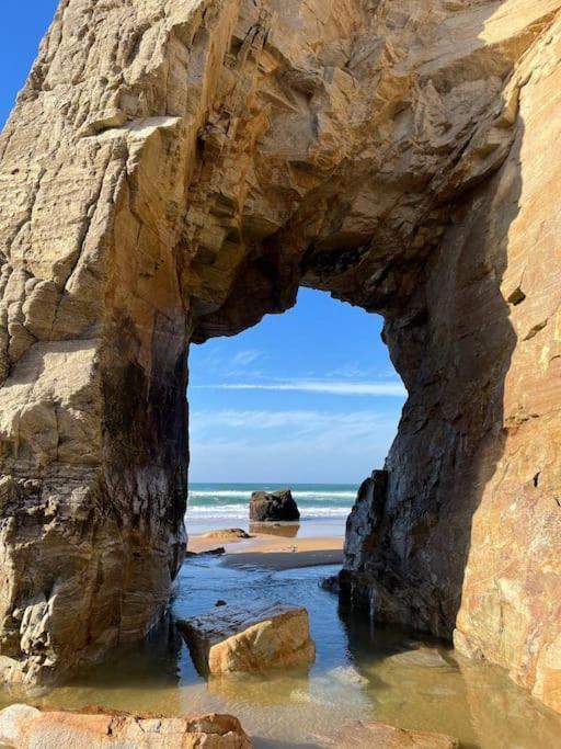 Appartement T2 - Port D'Orange Saint-Pierre-Quiberon Eksteriør billede