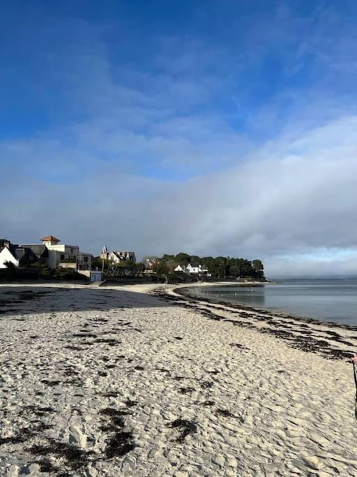Appartement T2 - Port D'Orange Saint-Pierre-Quiberon Eksteriør billede